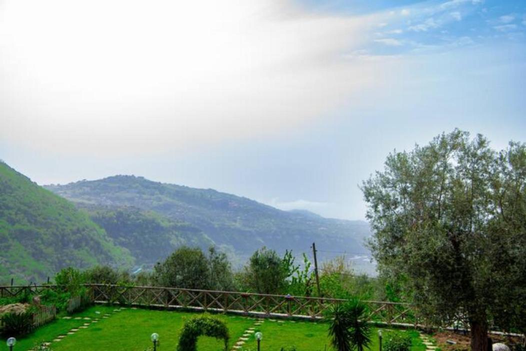 Villa Aurora Oasi Verde Sorrento Buitenkant foto