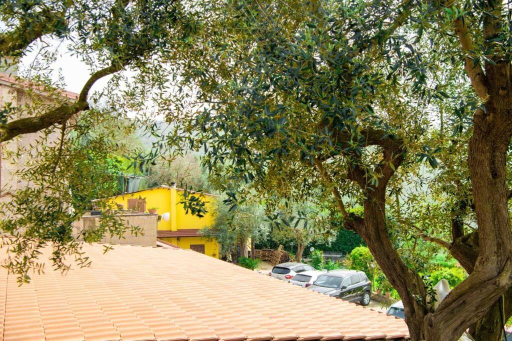 Villa Aurora Oasi Verde Sorrento Buitenkant foto